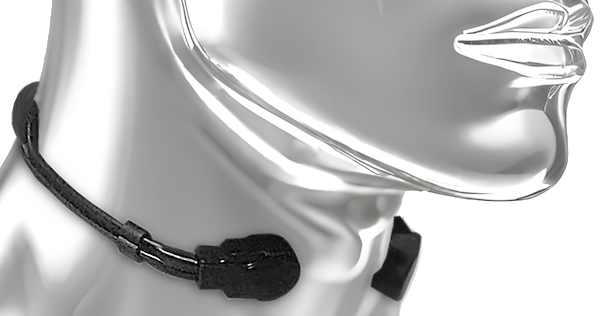 Image of the throat microphone 1